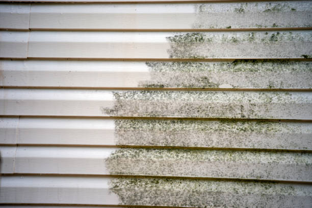 Best Attic Cleanout  in Columbia City, IN