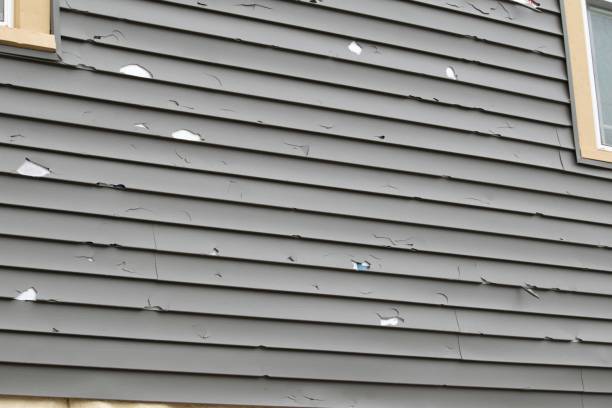 Best Hoarding Cleanup  in Columbia City, IN